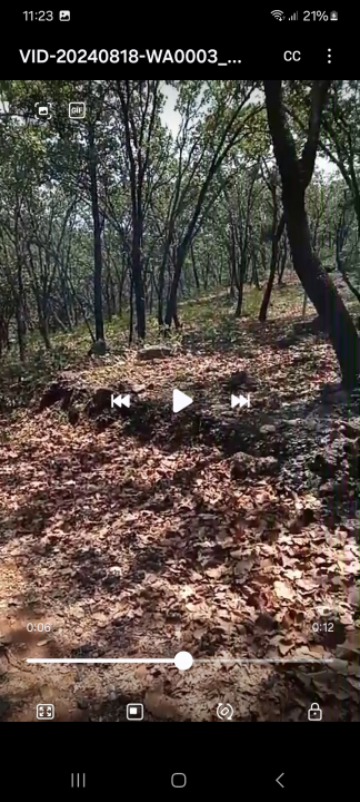 Terrenos  en huitzizilapan  