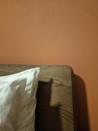 Cama King Size Monza base + cabecera – Seminueva 🛏️