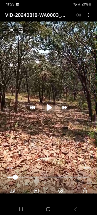 Terrenos  en huitzizilapan  