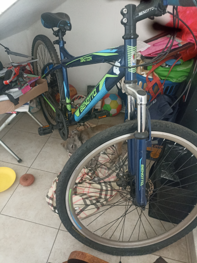 Bicicleta Benotto r29