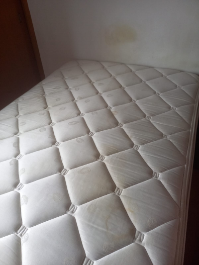 colchon frey spring air con box spring posturopedico
