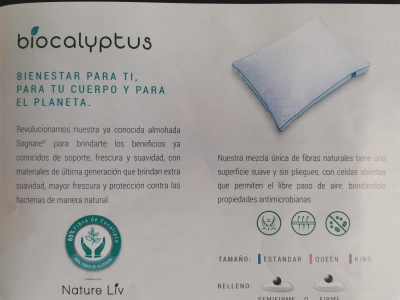 Almohada sognare tamaño individual paquete de dos almohadas cada una en $2000