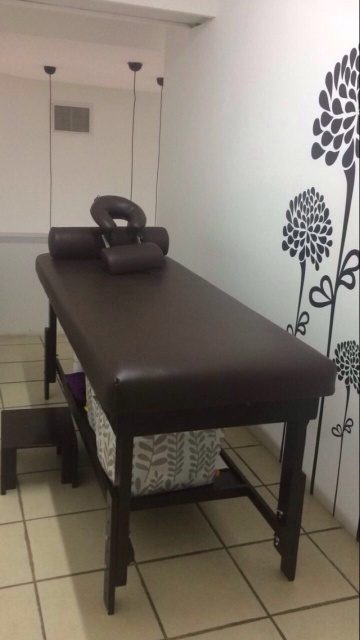 CAMILLA PARA MASAJES PROFESIONAL