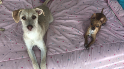 Conjunto de cama queen