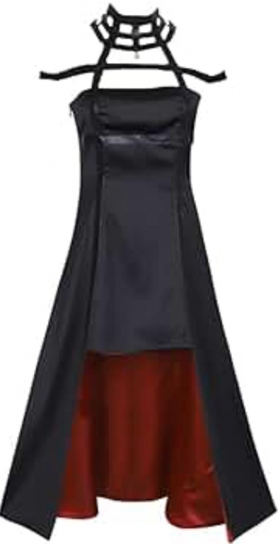 Dizfras Yor Briar forger Anime 