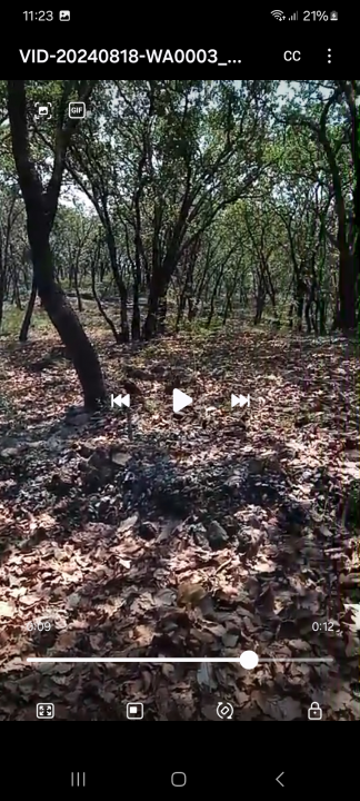 Terrenos  en huitzizilapan  