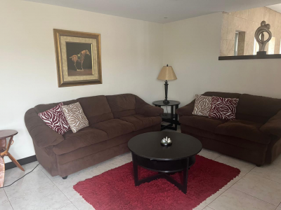 sala sillón grande y love seat 