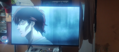 Televisión de pantalla plana 