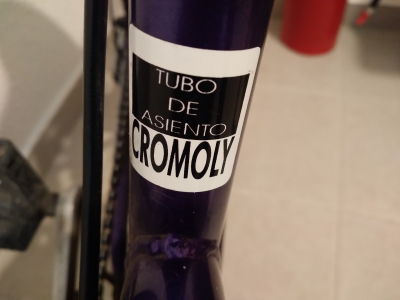 Bicicleta