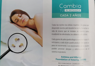 Almohada sognare tamaño individual paquete de dos almohadas cada una en $2000