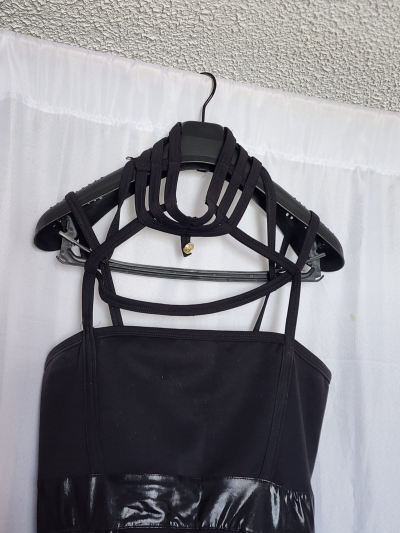 Dizfras Yor Briar forger Anime 