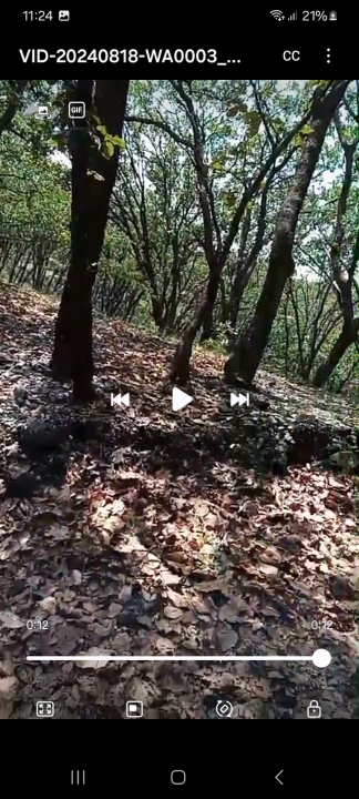 Terrenos  en huitzizilapan  