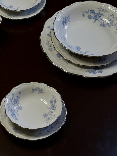 Vajilla Bavaria 10 personas