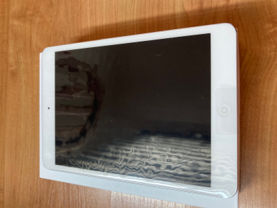 iPad mini 2
