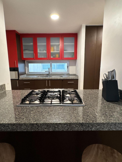 DEPARTAMENTO EN VENTA LAGO ONEGA 430